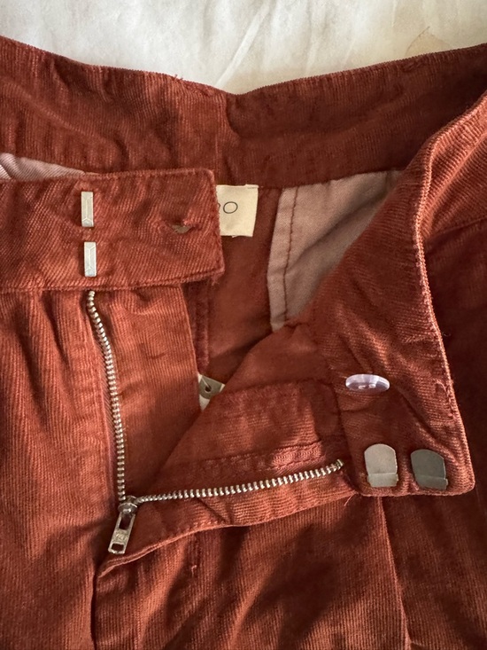 Anthropologie Pilcro Corduroy Pleated Skirty Shorts, Size 30 - Picture 13 of 14